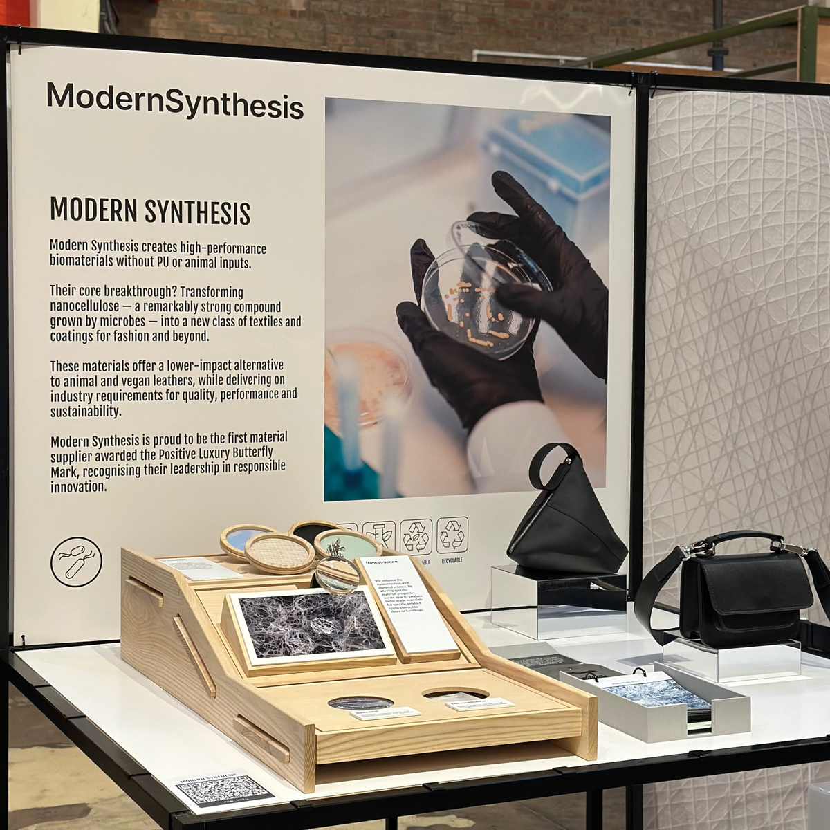 Modern Synthesis Involve BEEN x Modern Synthesis